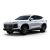 White Jetour SUV.