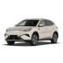 A light - colored BYD Yuan Plus electric SUV.