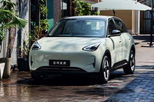 A light green Geely Xingyuan electric car parked on a wet brick road with plants and umbrellas in the background.