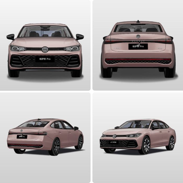 Four views (front, rear, side - rear, side - front) of a pink Volkswagen Passat Pro sedan.