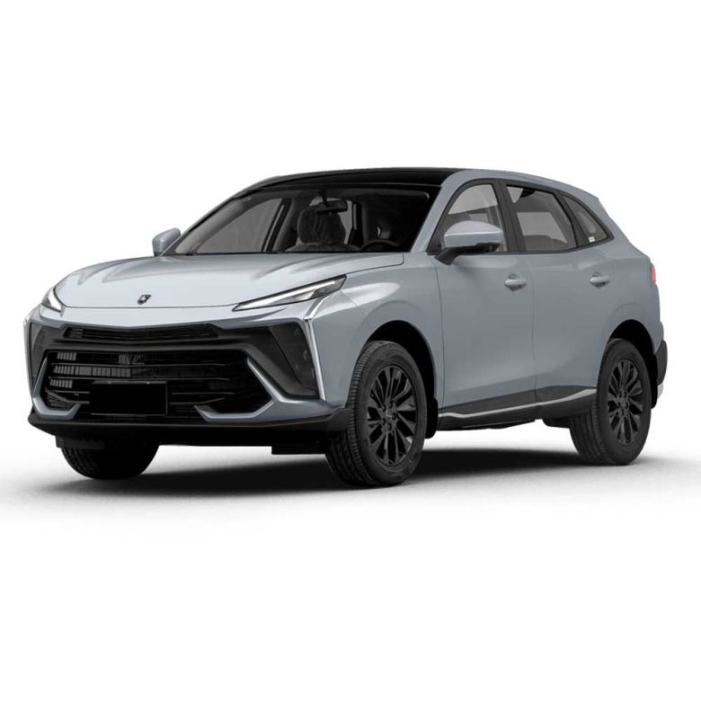 A light gray SUV with a black roof, displayed at a dynamic angle against a plain white background, highlighting its modern, sleek design and stylish black alloy wheels.