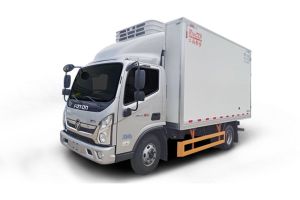 A silver Foton refrigerated truck with a white cargo box.