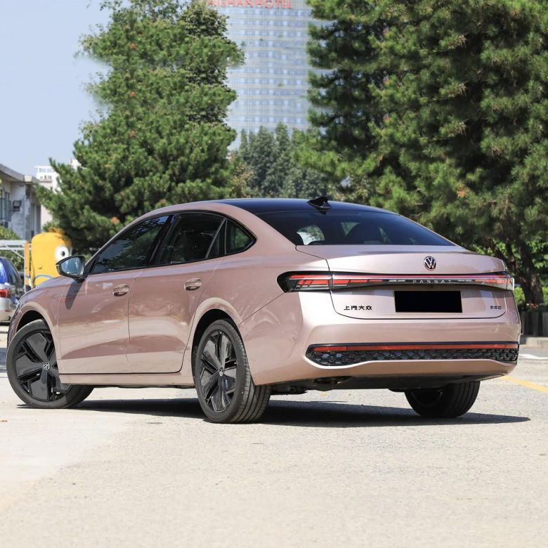 Rear side view of a pink Volkswagen Passat sedan parked on a road, with trees and a building in the background.