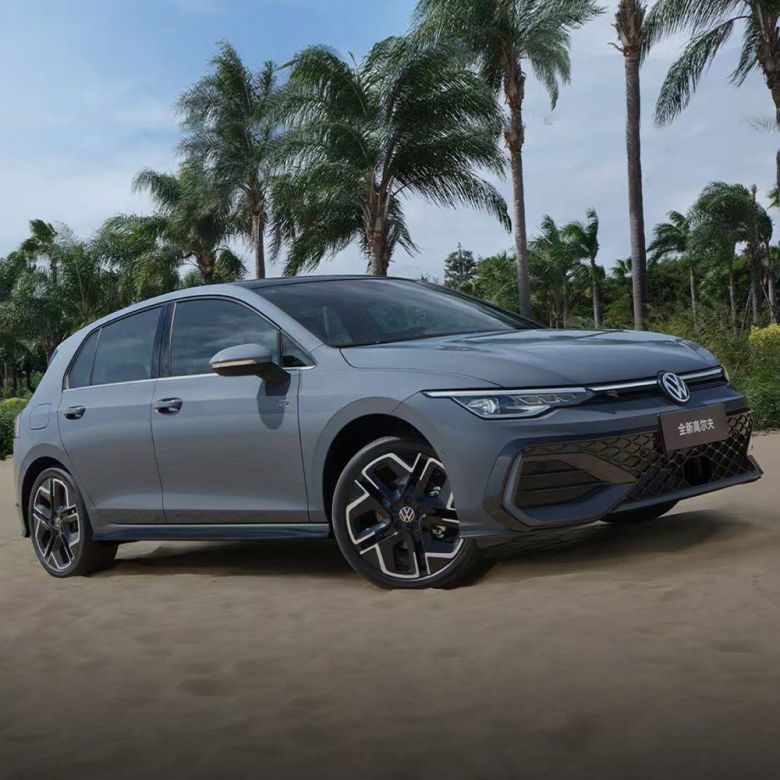 A gray Volkswagen Golf parked on sandy ground with palm trees in the background.