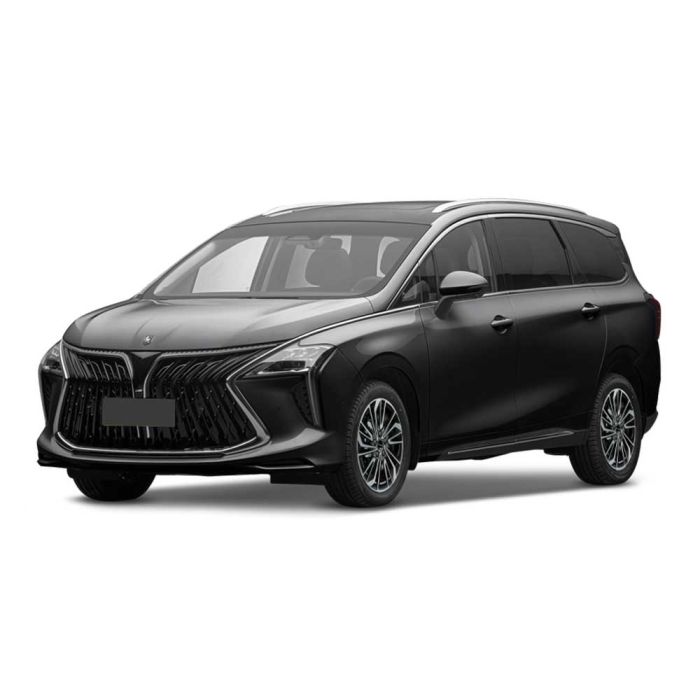 A black MPV with a bold front grille and panoramic sunroof is showcased against a plain background, highlighting its modern and spacious design.