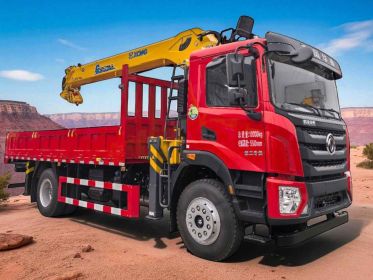 Dongfeng Huashen VX with XCMG 12-ton 5-section Crane Truck actual photos 1
