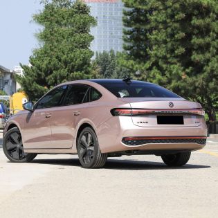Rear side view of a pink Volkswagen Passat sedan parked on a road, with trees and a building in the background.