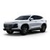 White Jetour SUV.