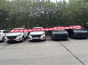 Jinyu Autos Chinese Vehicle Export