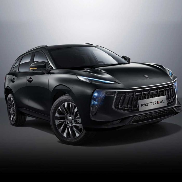 A black Forthing T5 EVO SUV with sleek LED headlights and a bold grille, presented against a gradient gray background to highlight its modern and dynamic design.