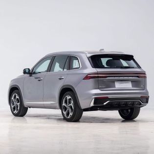 Rear side view of a silver Geely SUV.