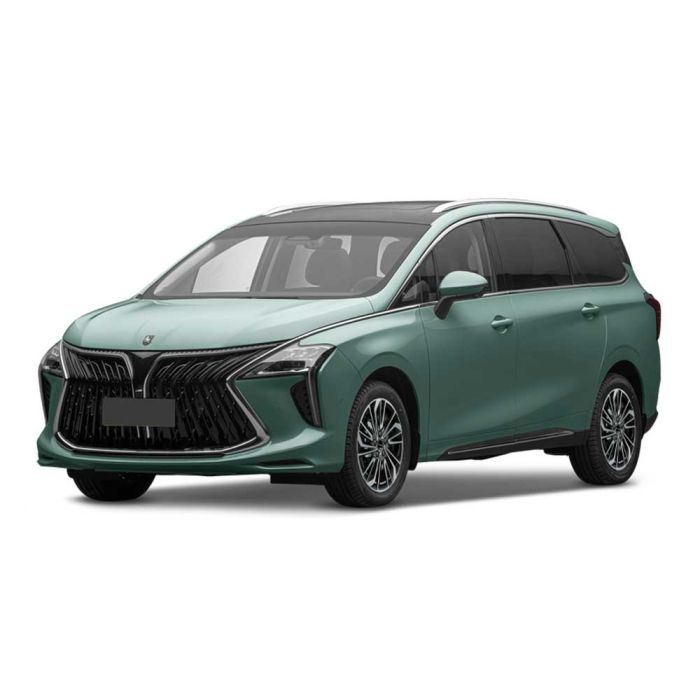 A mint green MPV with a bold front grille and panoramic sunroof is showcased against a plain background, highlighting its modern and spacious design.