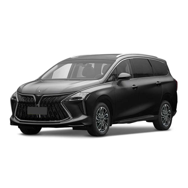 A black MPV with a bold front grille and panoramic sunroof is showcased against a plain background, highlighting its modern and spacious design.