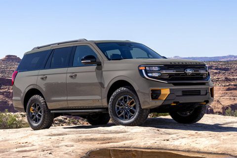 2026 Ford Expedition Tremor SUV in Marsh Gray