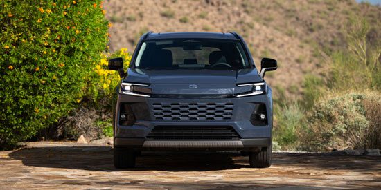 Front view of a dark blue SUV parked on a sunlit stone path, framed by vibrant green bushes and desert hills.