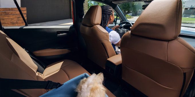 Toyota SUV interior: Tan leather seats with a small fluffy dog on the rear bench, and a driver at the wheel.