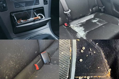 Sources of odors inside cars