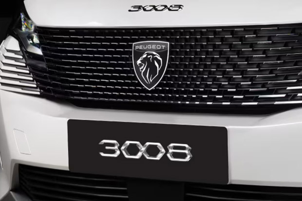 New Peugeot 3008 Frameless Grille